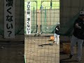 プロの技、凄すぎません? #shorts #巨人 #baseball #sports