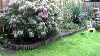 SDC12004.AVI
