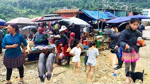 Chợ Cốc Ly - Chợ Phiên Nguyên Sơ Nhất Tây Bắc/ dân vùng cao ,