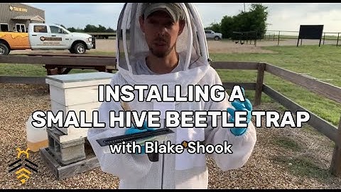 BEEKEEPING: Installing a Small Hive Beetle Trap with Blake Shook