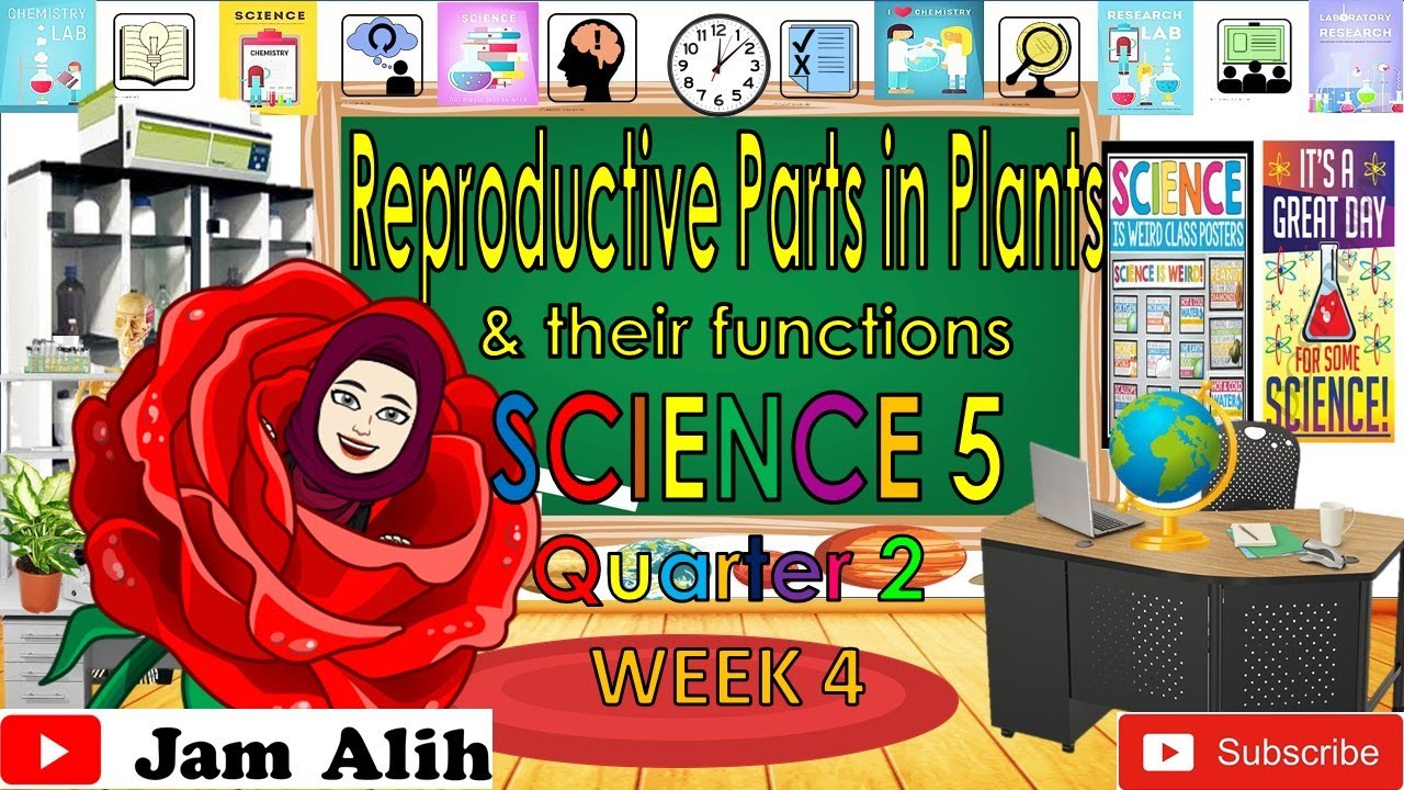 GRADE 5 -SCIENCE LESSON QUARTER 2, WEEK 4- Reproductive parts in plants ...