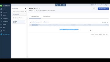 Quickbooks Online Tutorial - Part 3 Viewing Customer Accounts