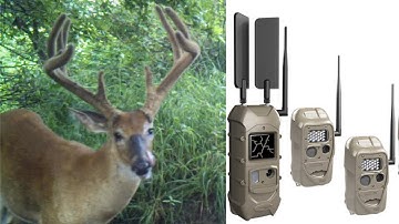 CuddeLink Set-Up Video! The Settings We Have Used and Why!