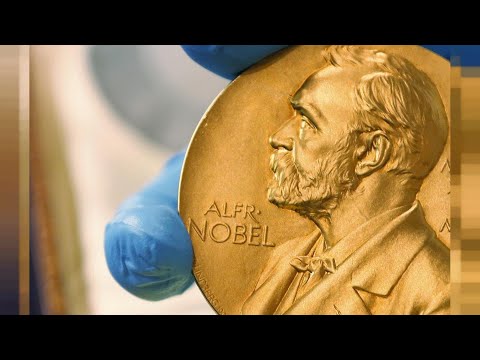 Video Sự thật đằng sau lí do không có giải Nobel Toán học... - youtube