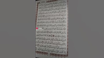 #سورة #النحل#القرآن_الكريم ((ذكر النعم التي أنعم الله بها على عباده، وتفصيلها بما يثير دافع الشكر))