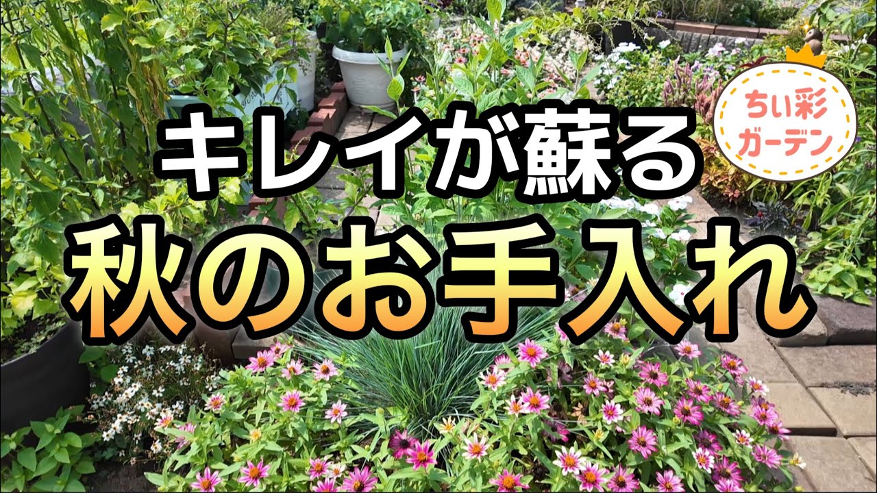コレでまたキレイ！秋にやるべきお手入れ・切り戻し・深植え・枯れ枝整理