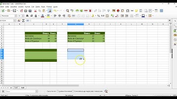 Copiar el format al Libreoffice Calc