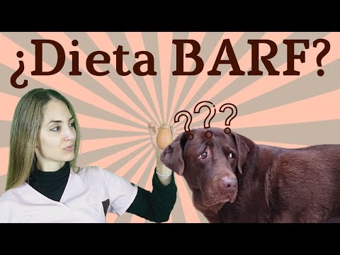 Video: 5 Razones Por Las Que Las Dietas En Etapas De La Vida Ayudan A Mejorar La Salud De Las Mascotas