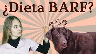 Dieta BARF: ¿es buena o mala? | Opinión veterinaria