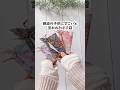 【簡単お正月折り紙】縁起の良い鶴付き🎍華やかで可愛い！お年玉ポチ袋｜Origami Crane Otoshidama Envelope