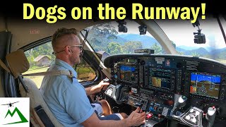 HOW I BECAME A BUSH PILOT in Papua New Guinea