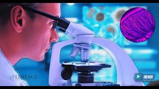 Can Cell Therapy Reverse Hearing Loss? Development of Lineage Cell Therapeutics ReSonance™ Program