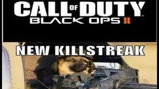 Black Ops 2 Team Deathmatch on Standoff (First Game After Prestiging) by FriskyBear