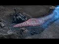 Mount Etna lava lights up Sicilian sky