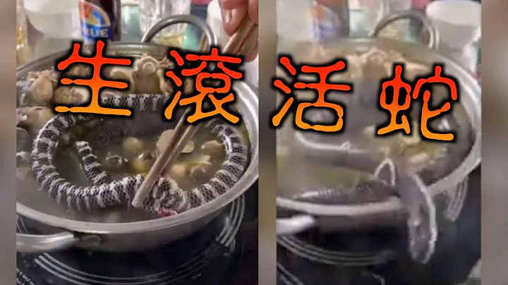 【on.cc東網】食客「打活蛇邊爐」　野味文化恐播疫 - 天天要聞