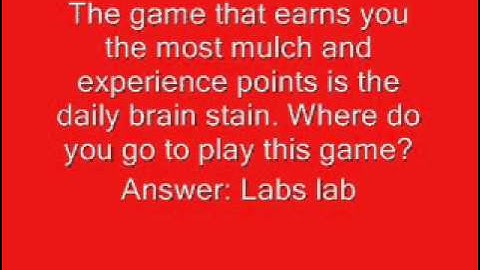 Binweevils Sws questions.