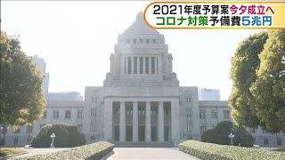 2021年度予算案今夕成立へ　コロナ対策予備費5兆円(2021年3月26日)