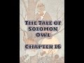 Solomon Owl's Dispute Resolution