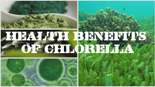 Health Benefits Of Chlorella