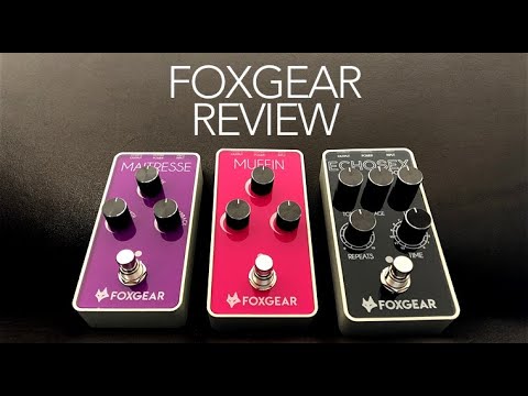 foxgear-echosex-baby,-muffin,-maitresse-review