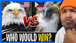 PHILIPPINE EAGLE vs AMERICAN BALD EAGLE! which is the STRONGEST!