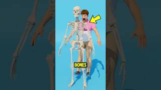 What If Your Body Suddenly Had No Bones 😨