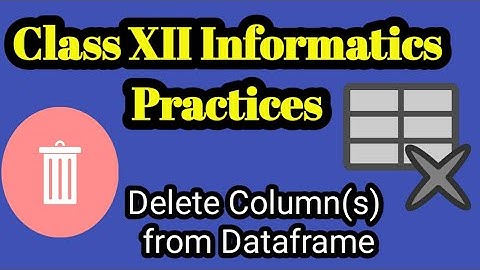 Informatics Practices class 12| Data Handling Using Pandas - Dataframe Operations| Delete Columns