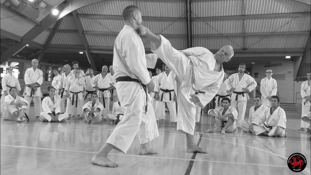 Jean Pierre Lavorato - Karate-Do Seminars
