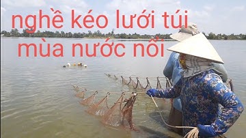 Kéo lưới túi-mùa nước nổi-dính cá quá trời cá/tập 8