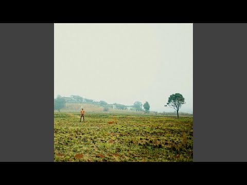 FLY Feat H Them JAYSTEEZE