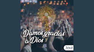Video thumbnail of "Jésed Ministerio de Música - Damos Gracias a Dios"