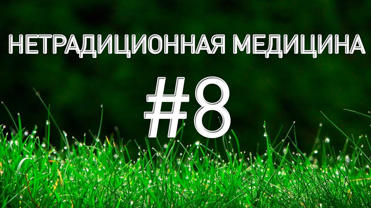 Лечение пергой пчелиный хлеб! - YouTube