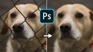 Remove Fence Using Photoshop | 3 Simple Steps | Photoshop 2022 Tutorial