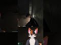 I dont think hes ok