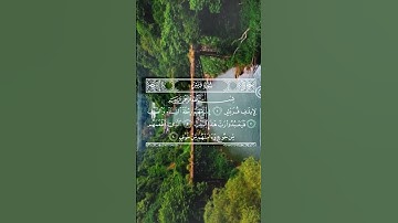 سورة قريش 🩶 سعد الغامدي
