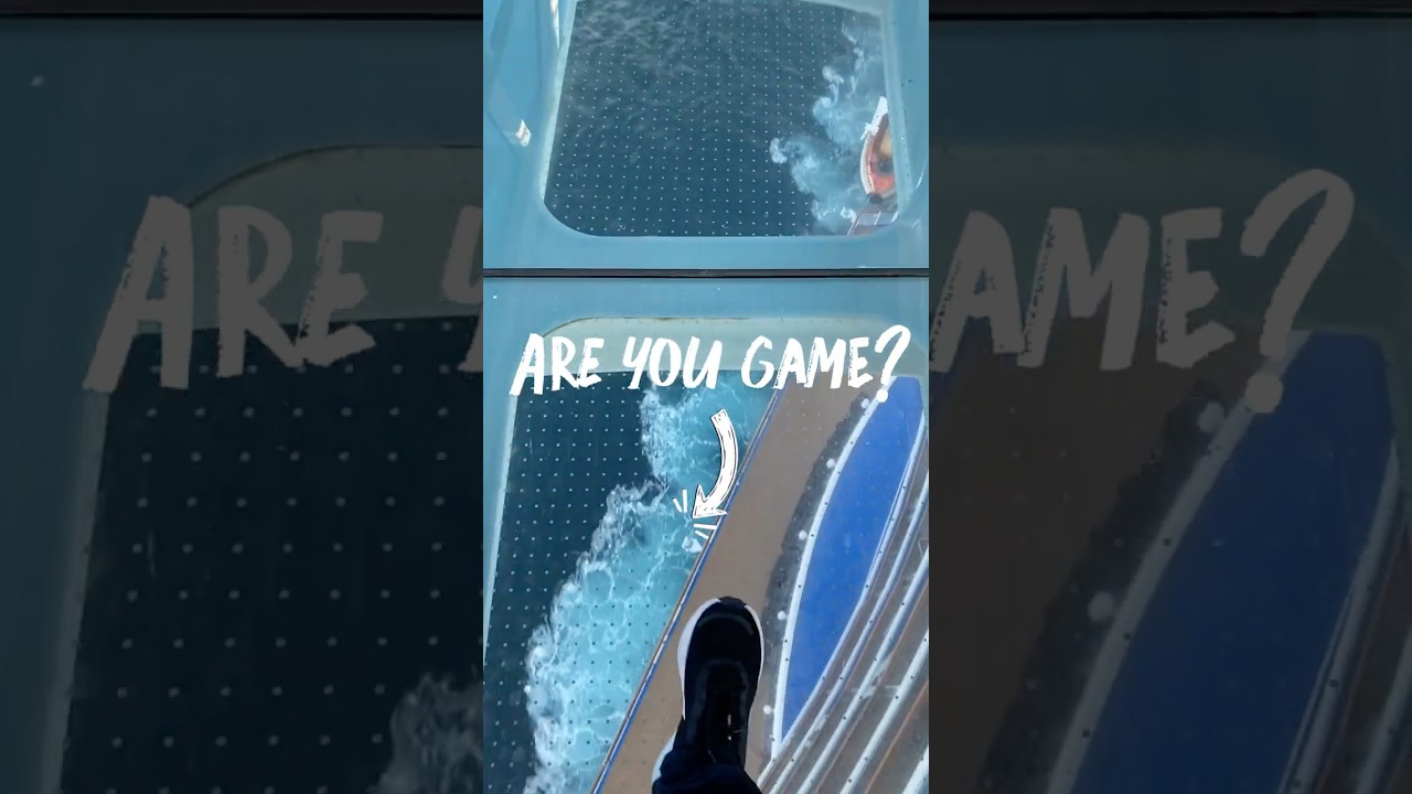 Regal Princess Seawalk - are you game?