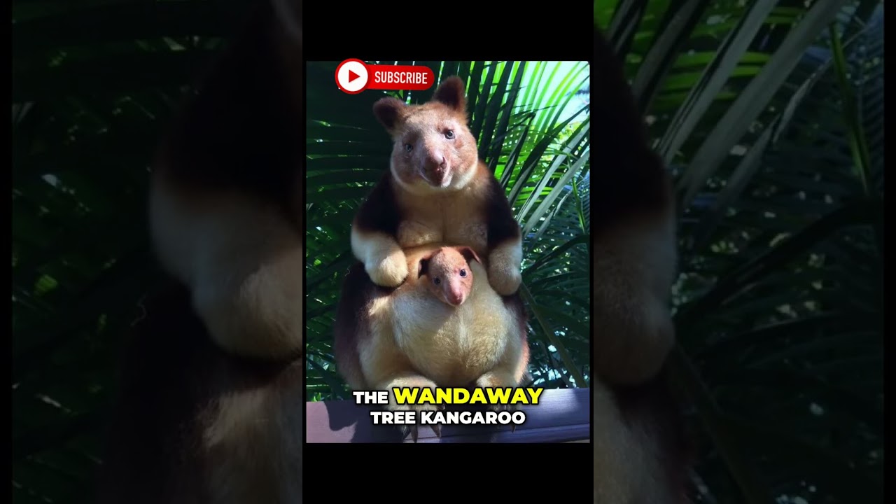 5 Rare photos that no one ever seen Before