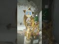 Pialaku