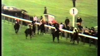 1975 Benson and Hedges Gold Cup