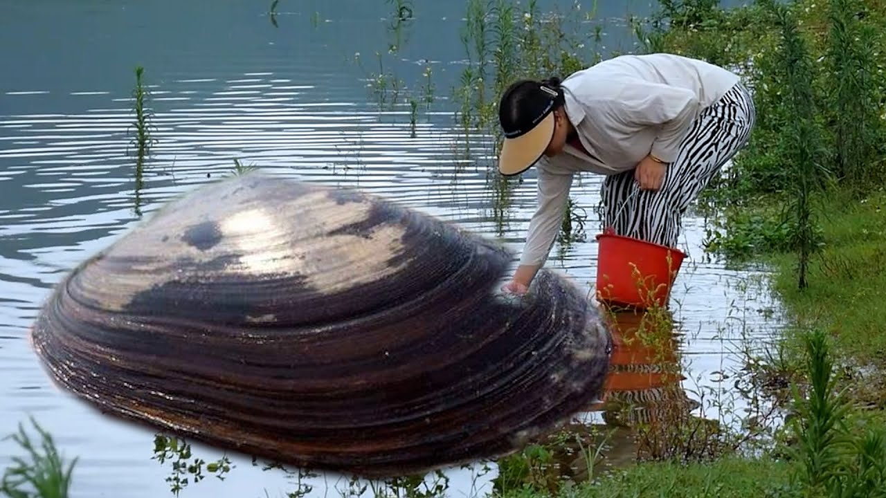 Wow! I am lucky to discover strange stones and giant clams, and collect beautiful pearls