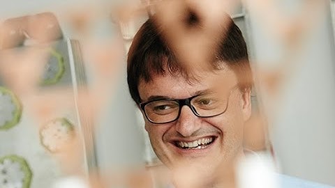 Carles Puente & team - Fractal-based antennae for mobile phones