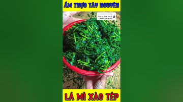 P1 món ăn tây nguyên |  lá mì xào tép món ăn ngon hao cơm nhất