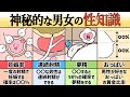 【アニメ】神秘的な男女の性知識10選