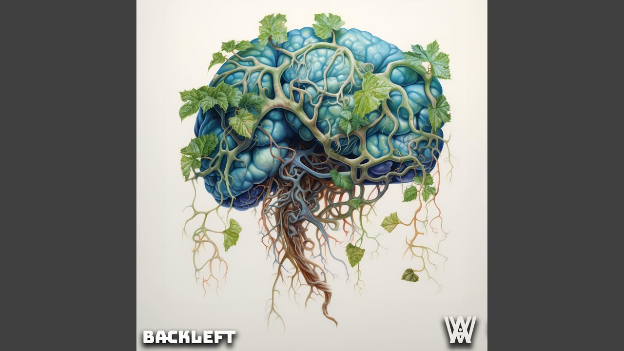 Watch Amygdala on YouTube Watch Amygdala on YouTube