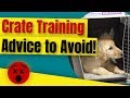 Crate Training A Puppy - Crate Training Advice to Avoid 😲