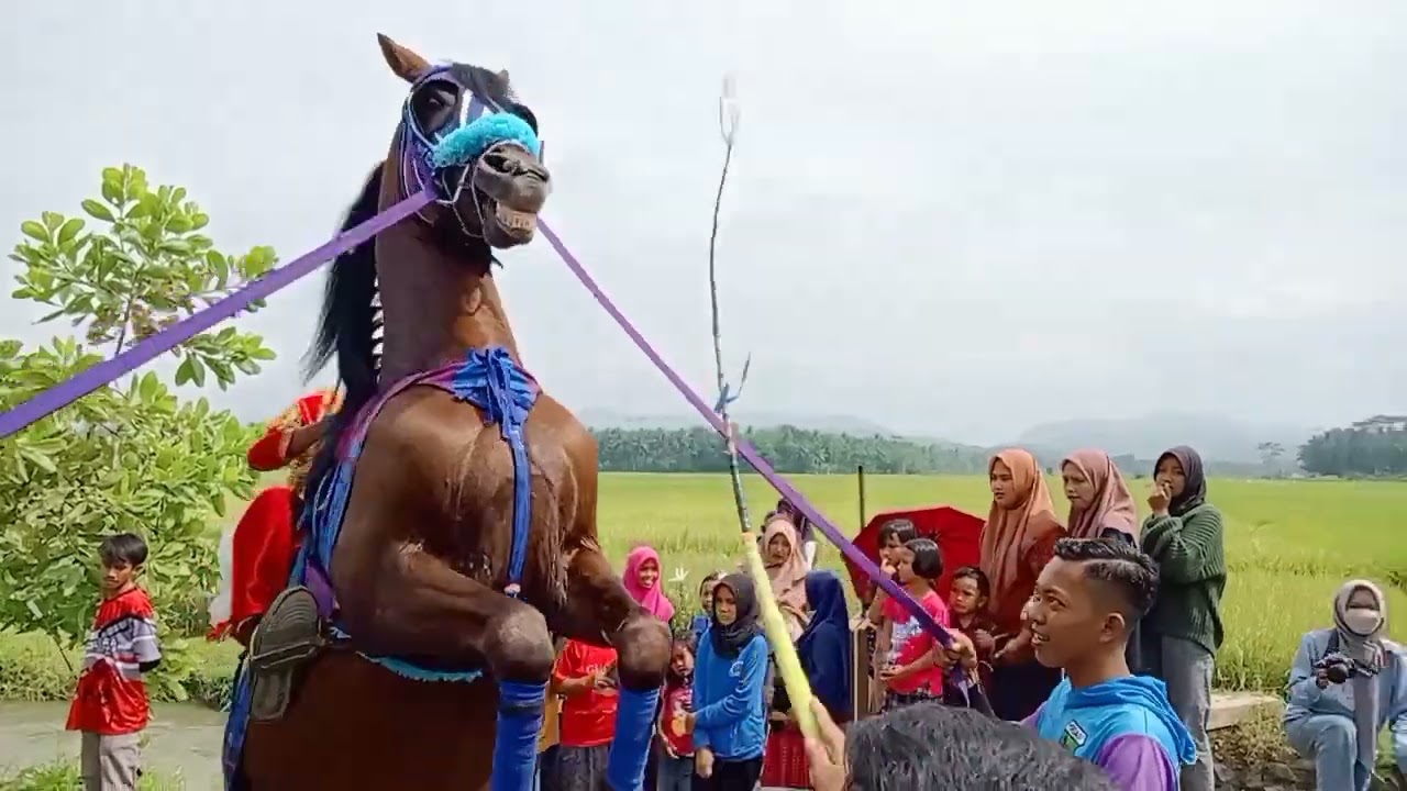 Arak arakan desa Wirun/Wirun kidul kec.Kutoarjo#jaran #purworejo