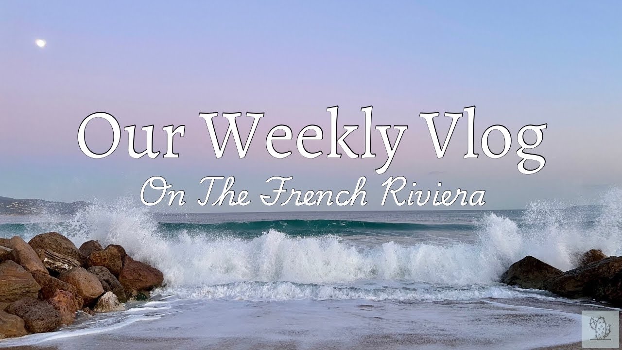 Our Weekly Vlog on The French Riviera🌵 - Pool Table 🎱 Yoghurt 🥛 Renovation & Plumbing 🛠 Dog Walk 🐶