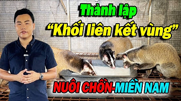 THÀNH LẬP KHỐI LIÊN KẾT VÙNG NUÔI CHỒN MỐC MIỀN NAM, HỖ TRỢ VỐN LINH ĐỘNG | ĐI LÊN TỪ LÀNG