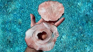 Soft Pink Free Form Geode Coasters - Special Guest Gabe screenshot 1