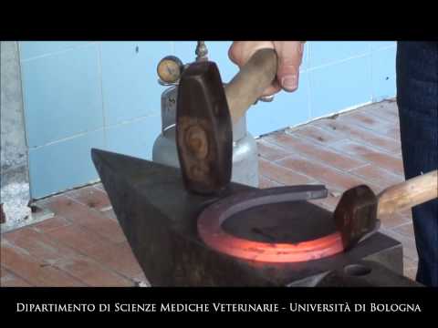 Video: Come Fare Un Ferro Di Cavallo